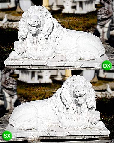 Leone palla gigante