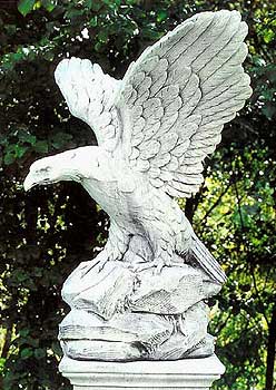 Aquila Reale