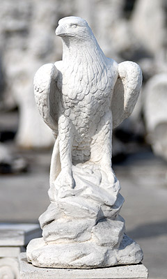 Falco