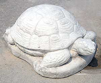Tartaruga