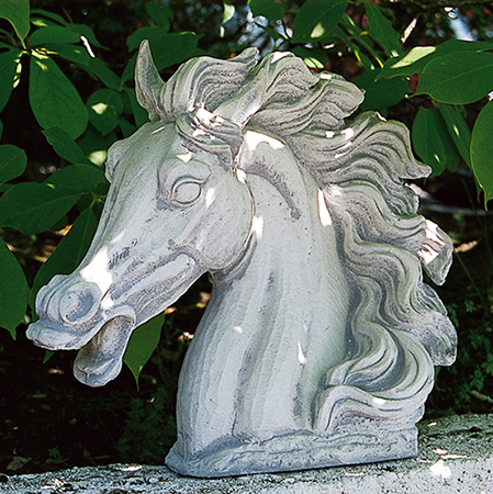 Busto di cavallo