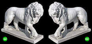 Leone medio con palla