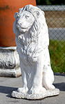 Leone seduto grande