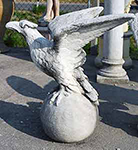 Aquila su palla