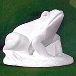 Rana pincara
