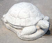 Tartaruga