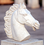 Testa di cavallo