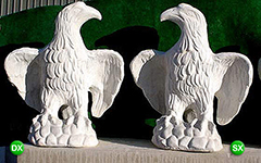 Aquila