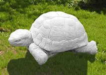 Tartaruga