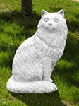 Gatto Persiano