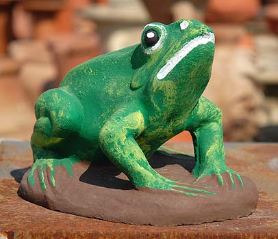Rana colorata