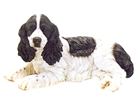 CUCCIOLO DI SETTER INGLESE IN RESINA
