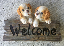 CAGNOLINI WELCOME IN RESINA