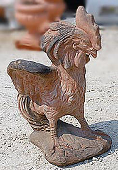 Gallo grande