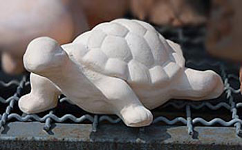 Tartaruga