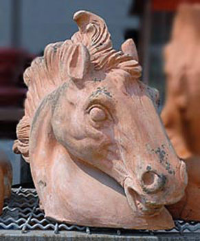 Testa di cavallo