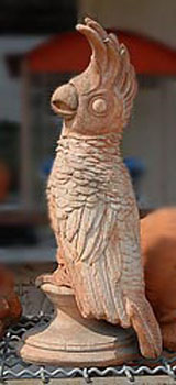 Pappagallo