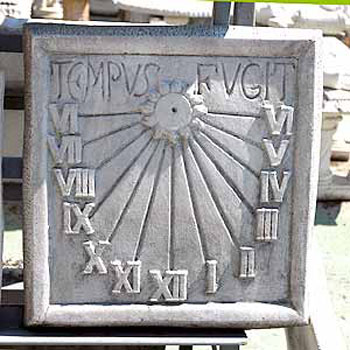 Meridiana quadrata