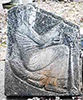 Gatto siamese
