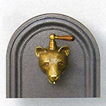 0308 - TESTA DI ORSO