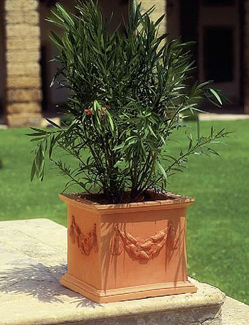 Vasi in resina